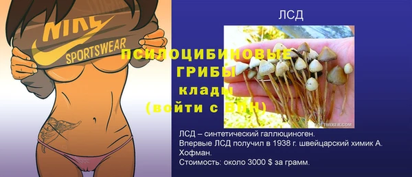 шишки Иннополис