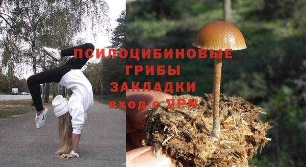 мет Инта