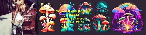 тгк Каменск-Шахтинский