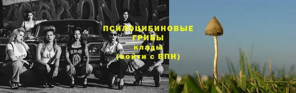 тгк Каменск-Шахтинский