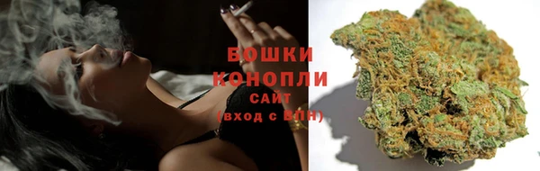 шишки Иннополис