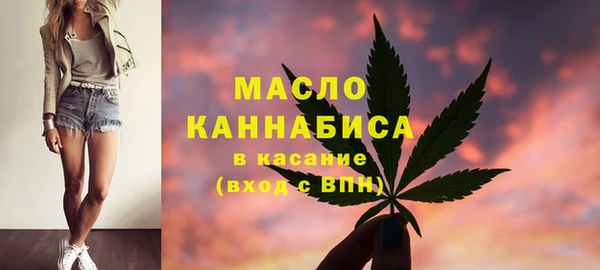 мет Инта