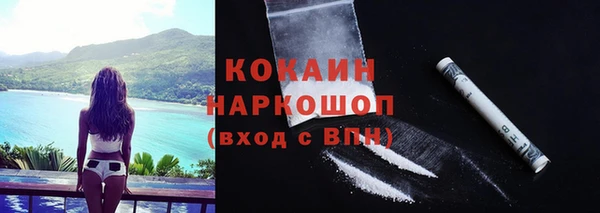 шишки Иннополис