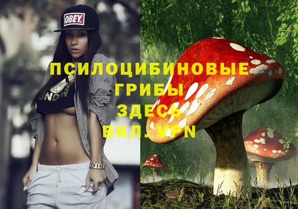 прущая мука Инсар