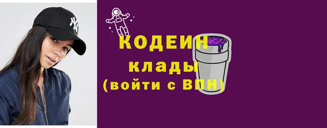 шишки Иннополис