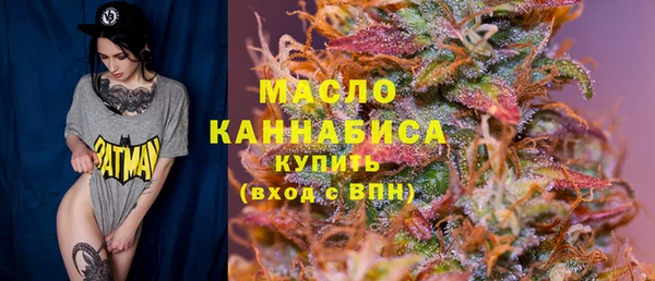 мет Инта