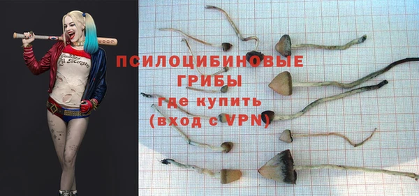 прущая мука Инсар