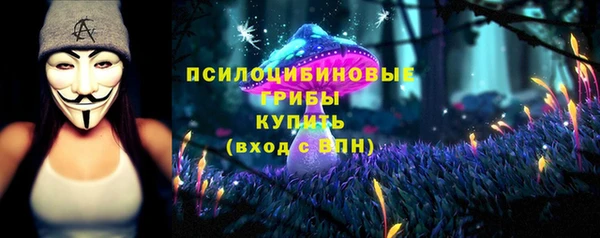 мет Инта