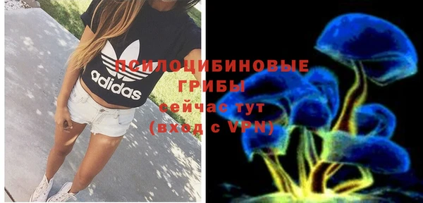 прущая мука Каменногорск