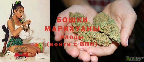 мет Инта